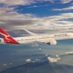 Bed Bug Infestation Grounds Qantas Dreamliner: A Nightmare at 30,000 Feet