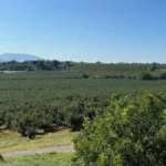 Loacker Bolsters Supply Chain Sovereignty with Strategic Acquisition of Fontana Chiusa Estate