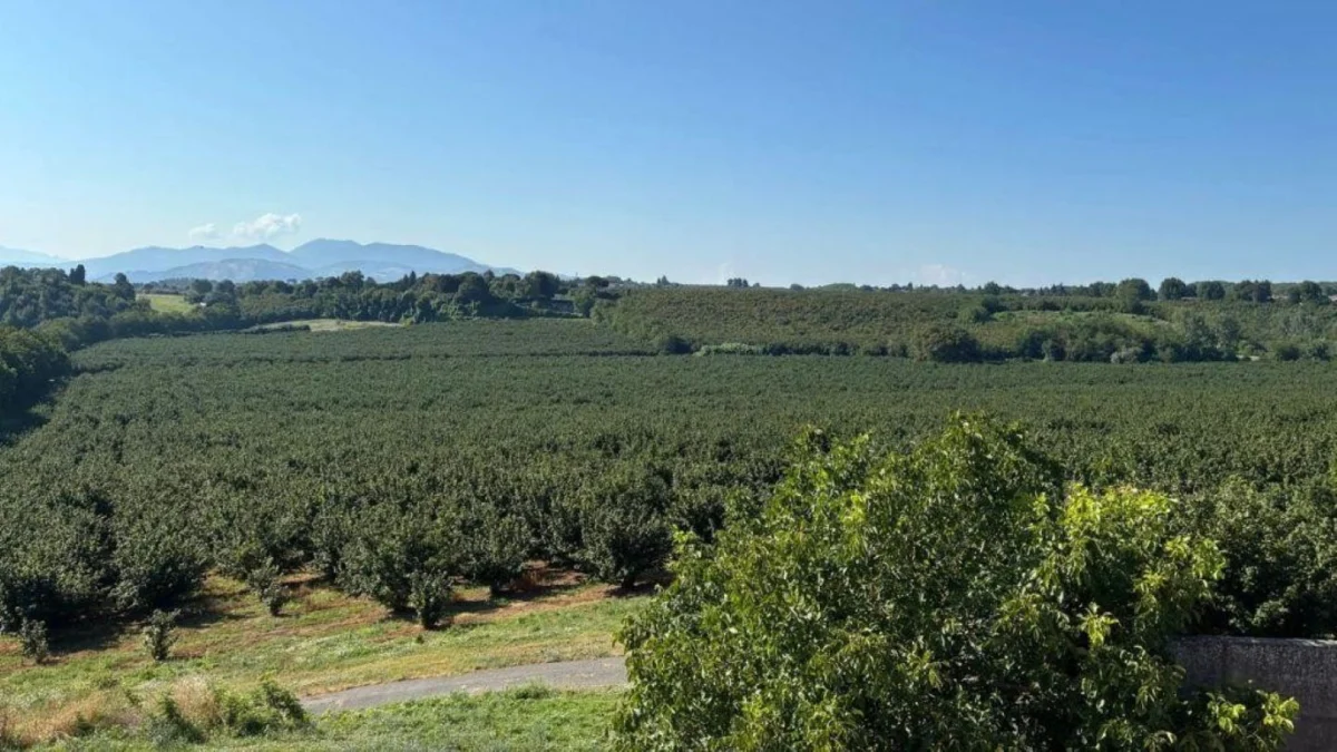 Loacker Bolsters Supply Chain Sovereignty with Strategic Acquisition of Fontana Chiusa Estate