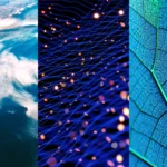 Navigating the ESG Frontier: A Comprehensive Guide to Emerging Sustainability Standards