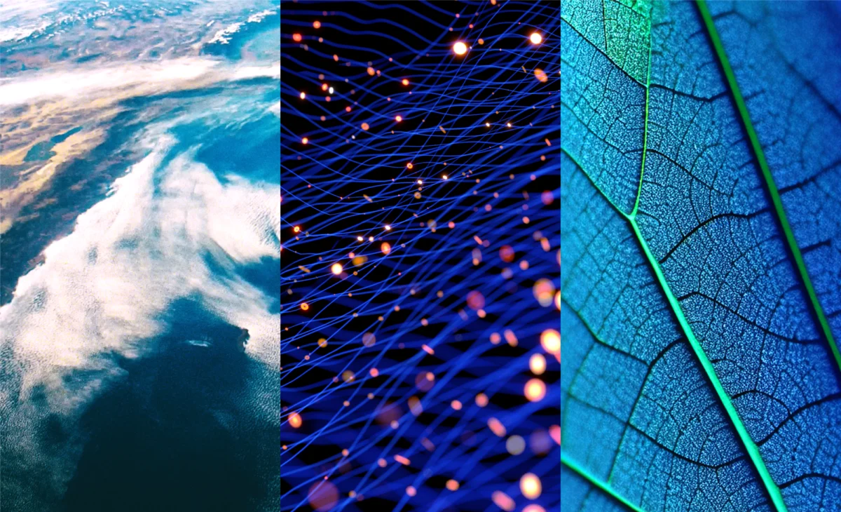 Navigating the ESG Frontier: A Comprehensive Guide to Emerging Sustainability Standards