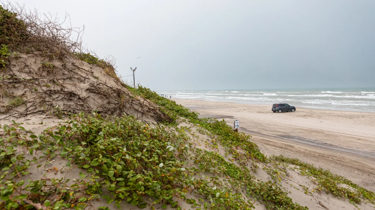 Salt, Sand, and Speed: The Unique Culture of Driving on Texas Beaches