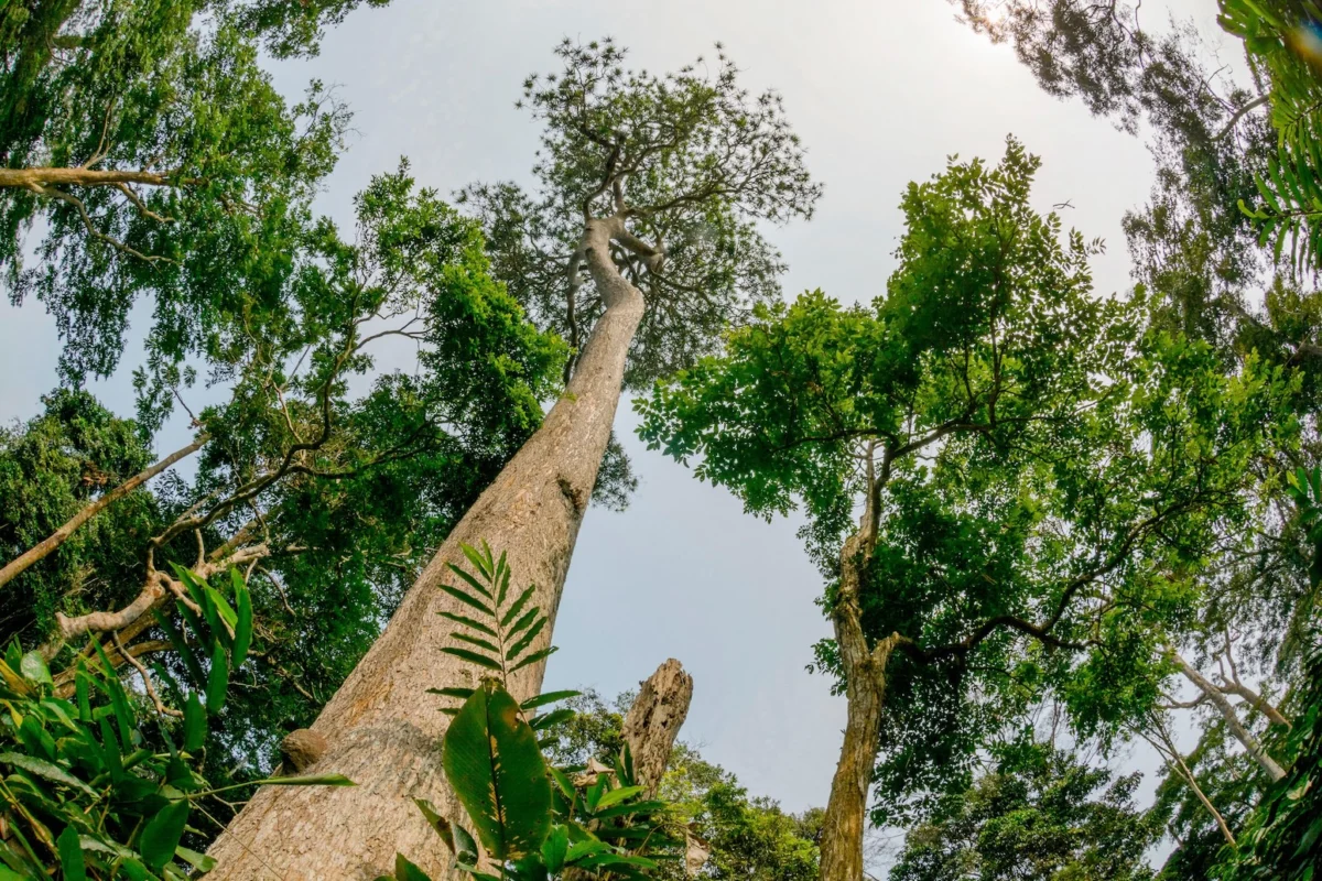The Biodiversity Finance Crisis: A Global Failure to Fund Nature Ahead of COP17