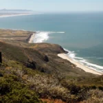 The Blue Frontier: California’s Historic Bid to Expand Its Underwater Wilderness