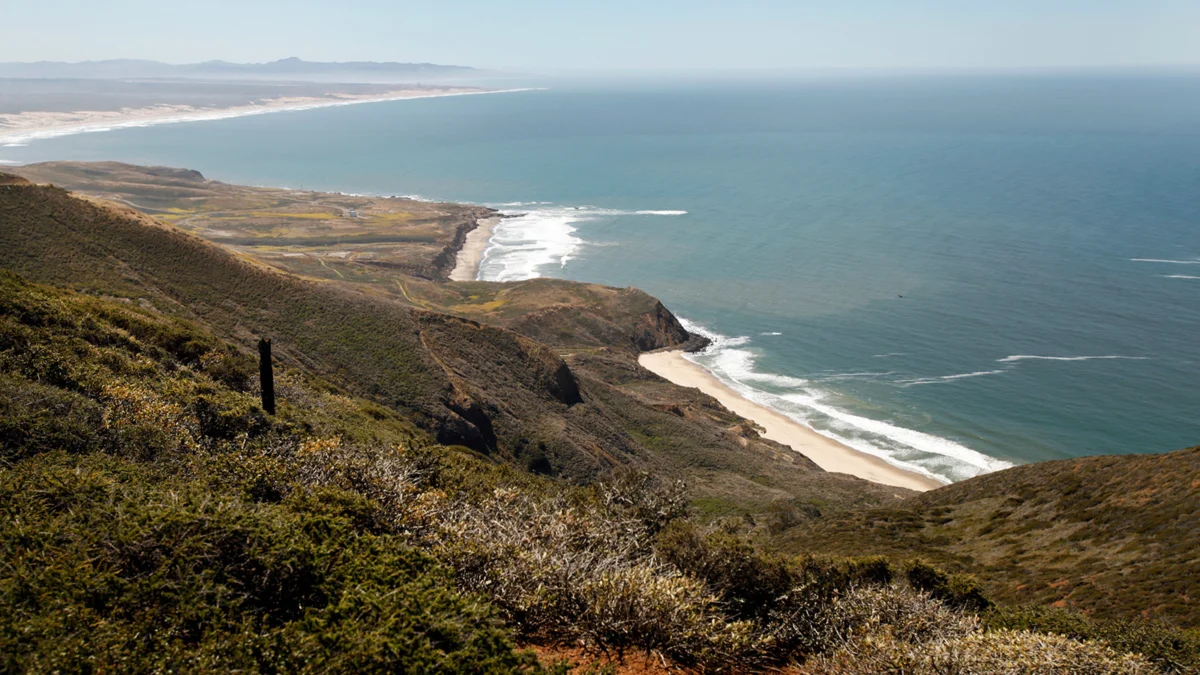 The Blue Frontier: California’s Historic Bid to Expand Its Underwater Wilderness