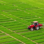 The Economic Paradox: Why Global Business Leaders Are Demanding an End to Harmful Subsidies