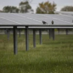 The Resilience of Green Banking: Financing the Climate Transition Amidst Federal Uncertainty