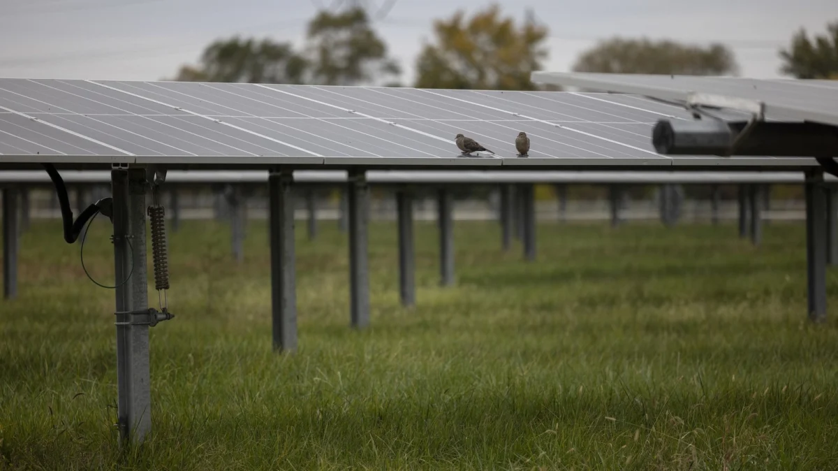The Resilience of Green Banking: Financing the Climate Transition Amidst Federal Uncertainty