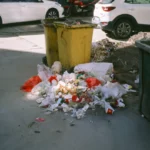 The Shadow Economy of the Bin: Why Beijing’s Gen Z is Embracing "Trash-Throwing Shame"
